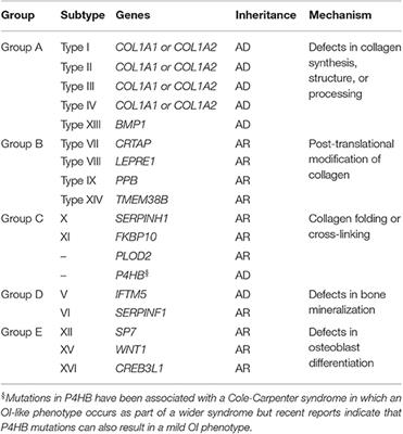 Defiency and the effect of 2025 osteogenic imperfect